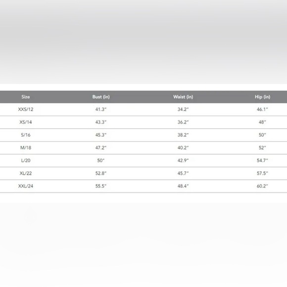 CITY CHIC Sweet Escape Dress - honey  Plus Lace Knee Length, Fit & Flare - Picture 4 of 5